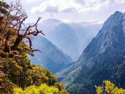 Samaria Gorge